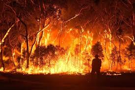 Australian Bush Fire Emergencies