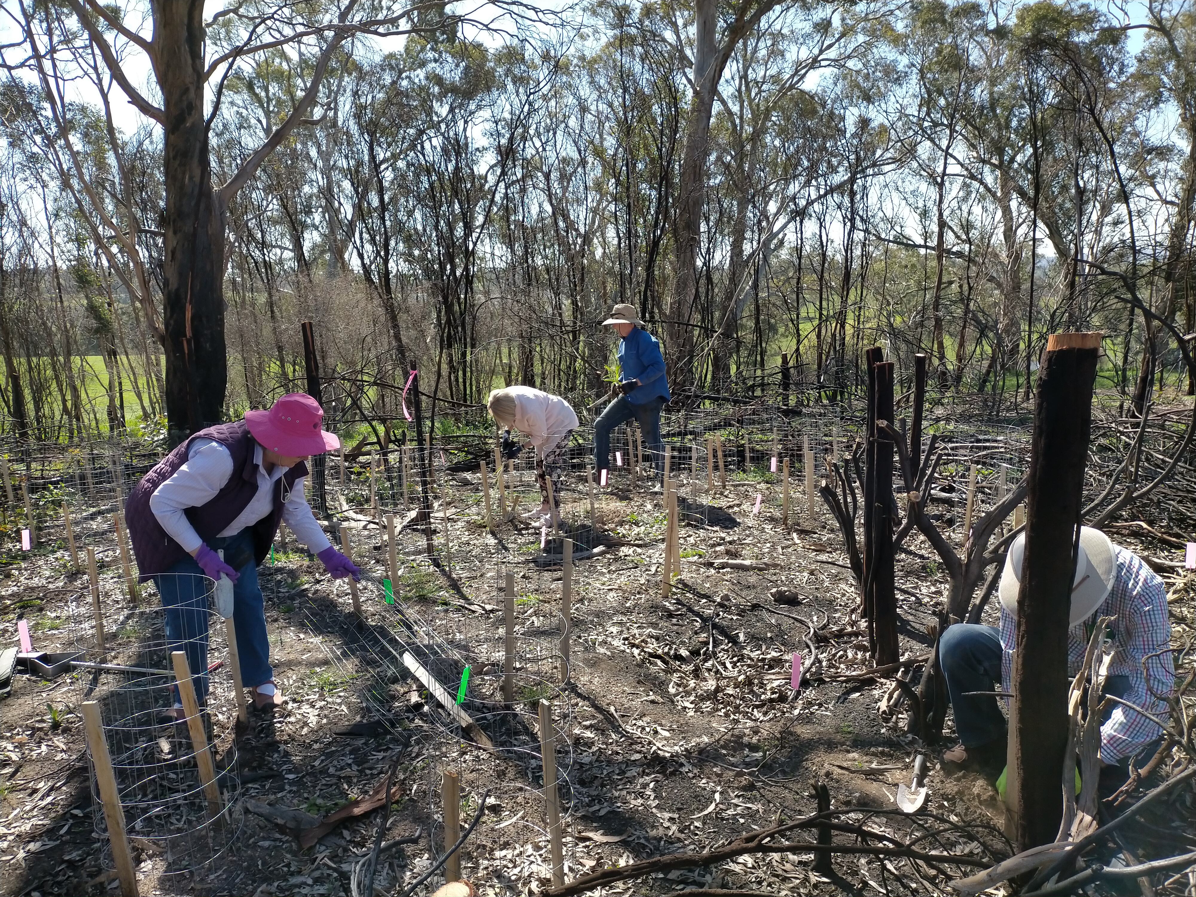Another donation of Bush Fire Appeal funds by IWA