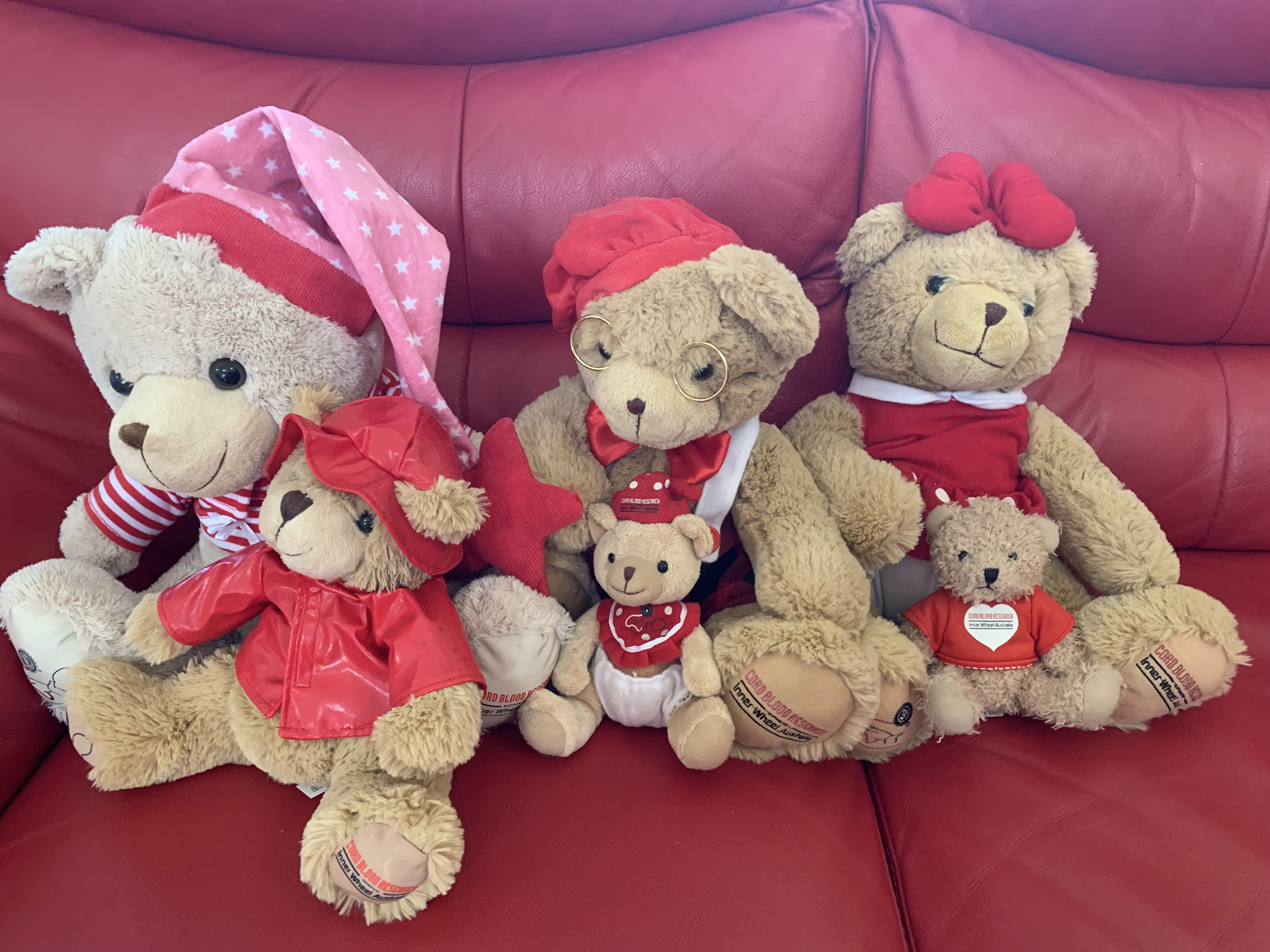 Cord Blood Bears
