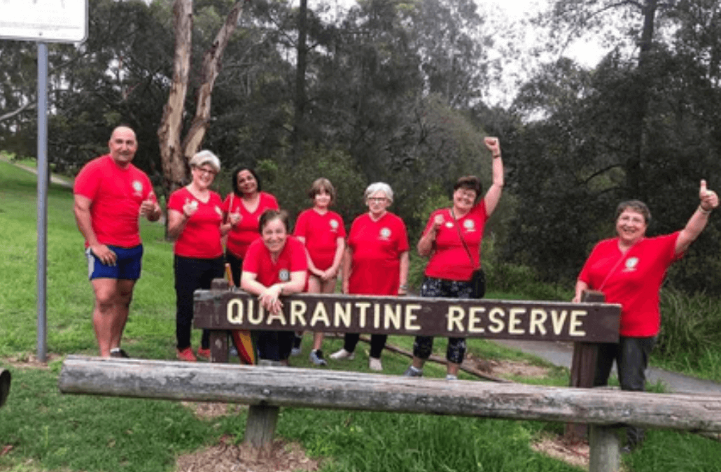 IWA Newsletter – November 2024